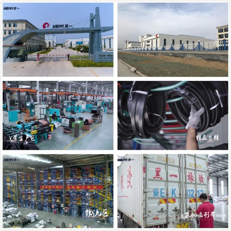 Heavy Duty EPDM Material Rubber V Belt/Conveyor Belt Manufacture