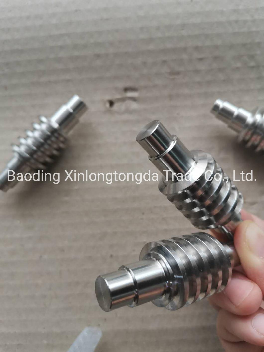 OEM Non-Standard Stainless Steel Worm