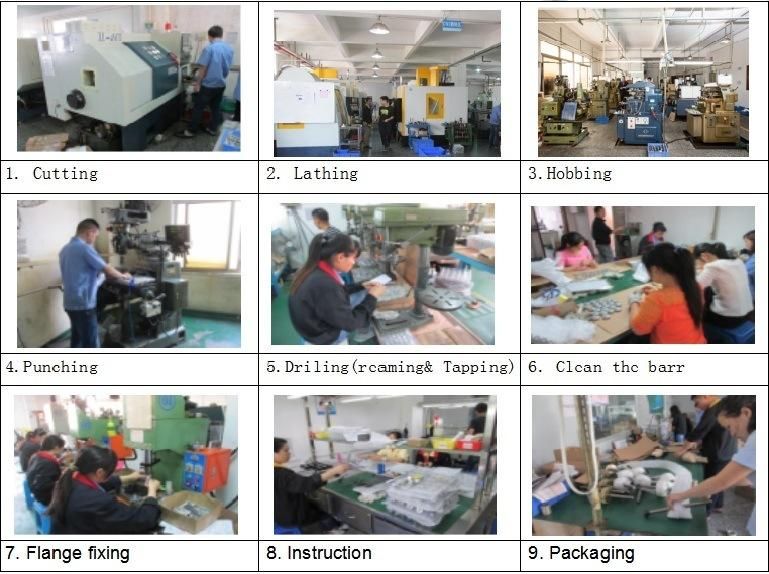 Straight Type Bevel Gear Non-Standard Custom Umbrella Gear for Automation Machinery Parts