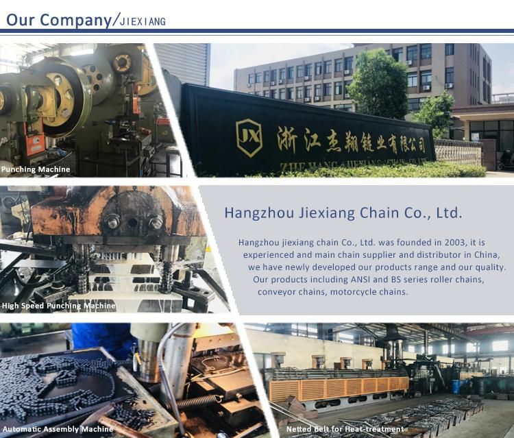 Carbon Steel/Stainless Steel Industrial Conveyor Roller Chain (08B 10B 12B 16B 40 50 60 80)