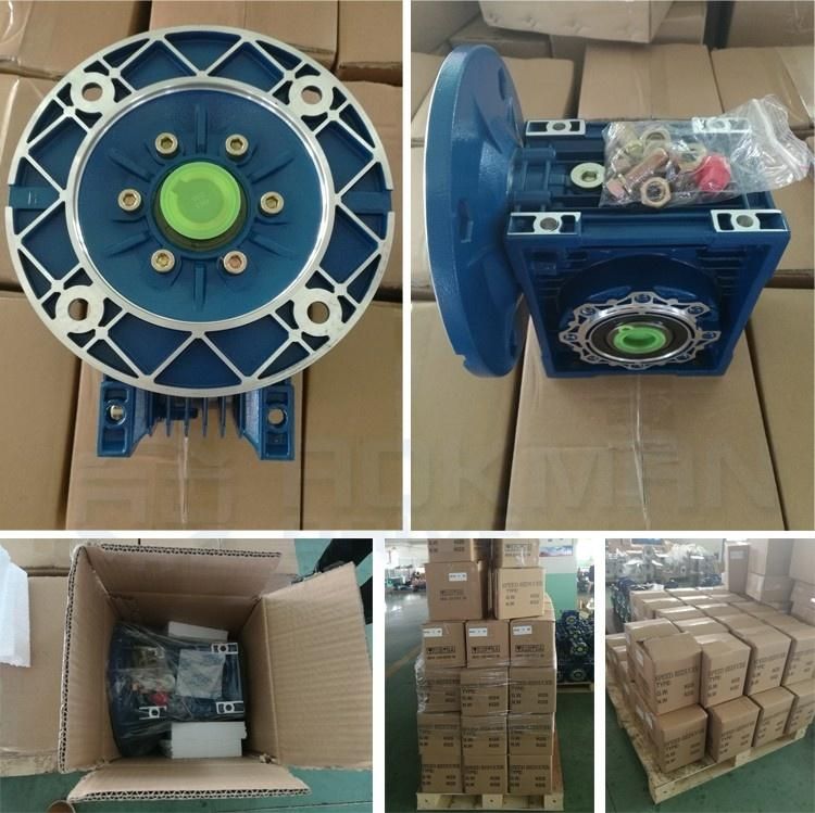 Nmrv Worm Gear Box with Flange and Electric Motor