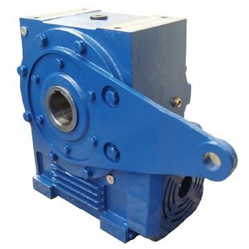 Center Distance 250&315mm Transmission Double Enveloping Worm Speed Reducer 