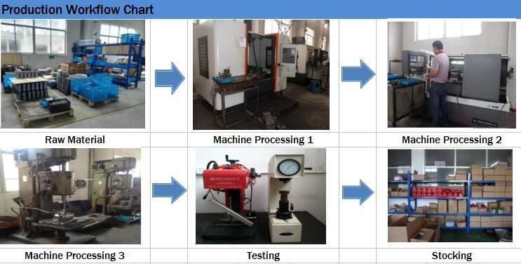 Customized Factory OEM Supply Steel Forging Spur Gears