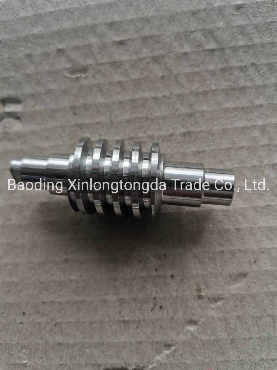 OEM Non-Standard Stainless Steel Worm