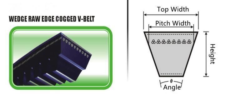 Cr EPDM Raw Edge Cogged Plain Teethed Driving Rubber V Belt