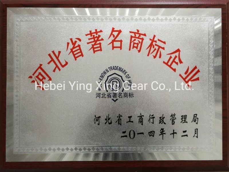 Customized Gear Module 10 for Drilling Machine/ Reducer/ Pile-Driver Tower/ Oil Machinery