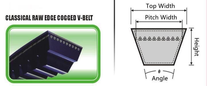 Ox/Ax/Bx/Cx Transmission Rubber Auto/Truck/Cummins Engine Raw Edge Cogged V Belt