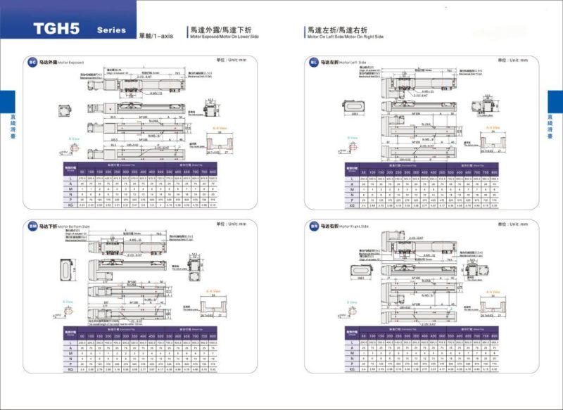 Inner Structure Linear Modules with Ball Screw Drive