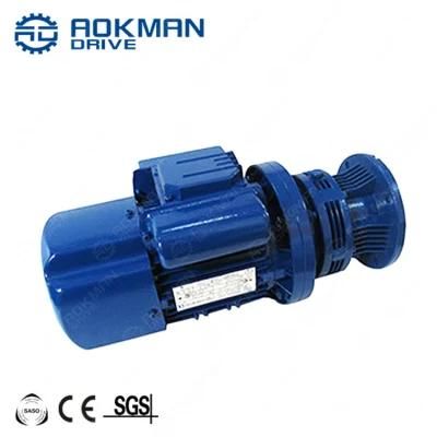 High Quality Cycloid Reducing Speed Reducer with Motor Gearbox for Lifting Transportation