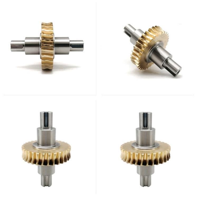 China Supply Offered Custom Processing Machinery Accessories Worm Gear