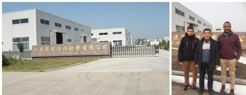 High Quality Oft Premium Series 4L300 Belt Rubber V Belt