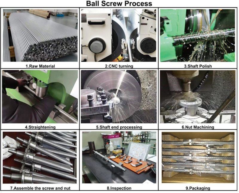 Flexible Spider Jaw Coupling Shaft Coupling