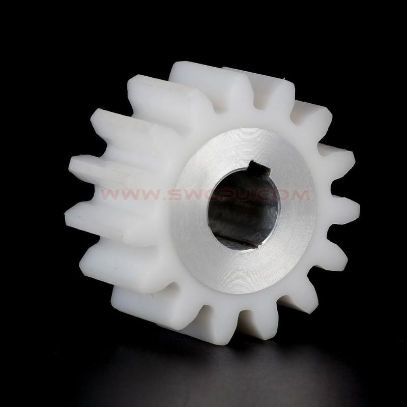 Own Design Nylon Spur Tooth Gear with Brass Bearing