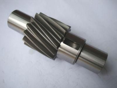 Gear Spur Gear Bevel Gears/Spur Gears/Gear Sets/Spiral Bevel Gear