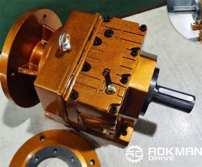 Aokman R Series in-Line Helical Gearmotor Speed Reducer Gearbox