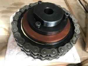 Torque Limiter with Sprockets and Chain