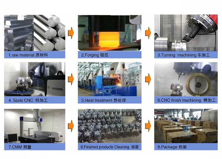 Precise OEM/ODM Synchronization Transmission Spur Gear Worm Gear