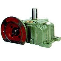 Fcdo Exported Worm Gear