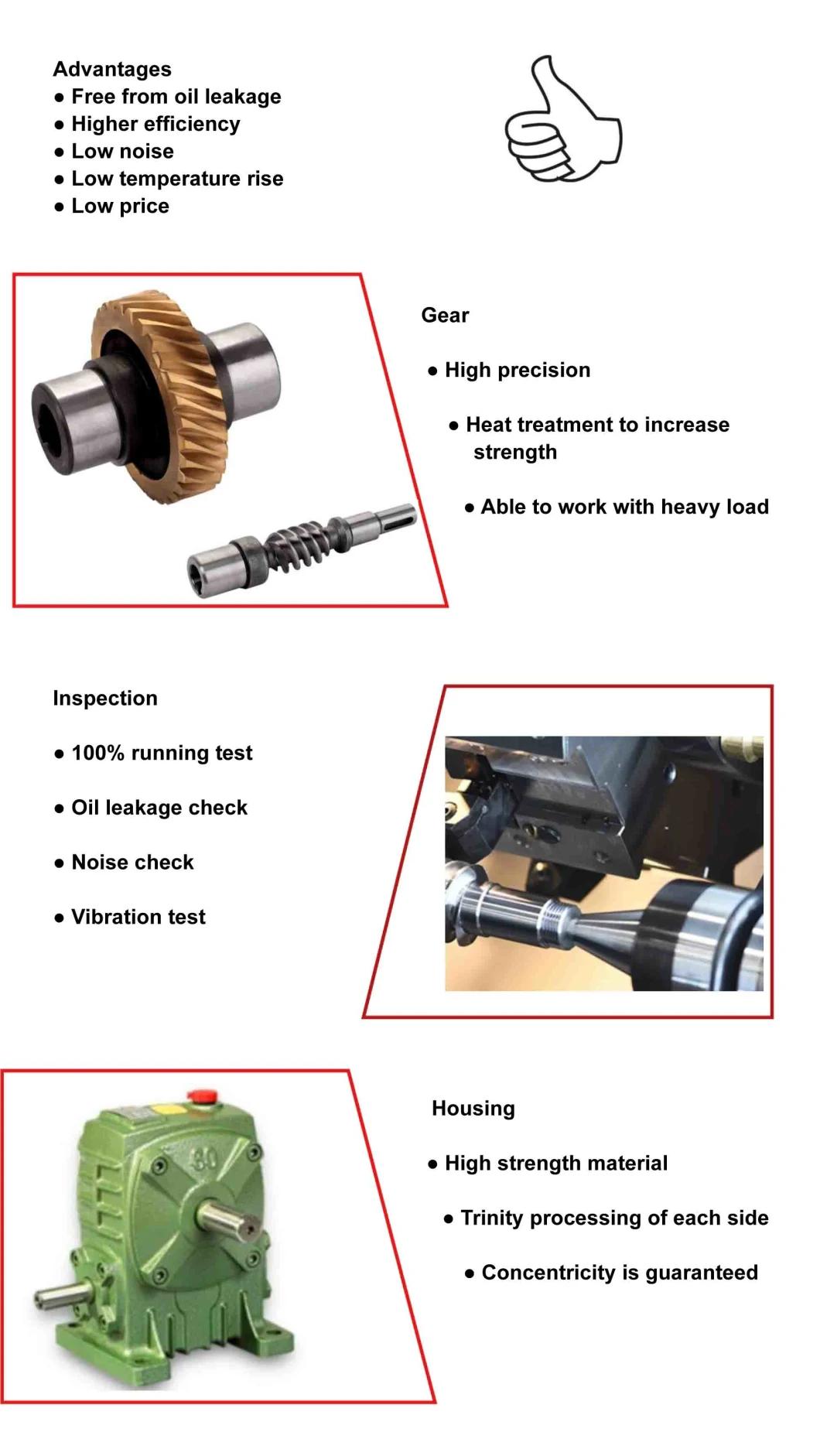 WP Right Angle Hollow Shaft Cast Iron Worm Reducer