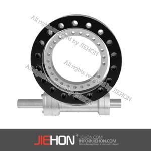 Expert in Worm Gear Slewing Drive