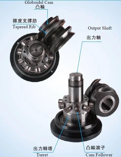 Rotary Indexing Tables Dividing Head Self-Locking During Positioning Ds Df Dfs Dt Da Dsu Dfn PU Lifting Sway Paradex Model