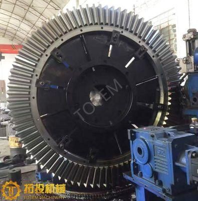 Totem Worm Gear, Bevel Gear, Spiral Gear Pinion Shaft