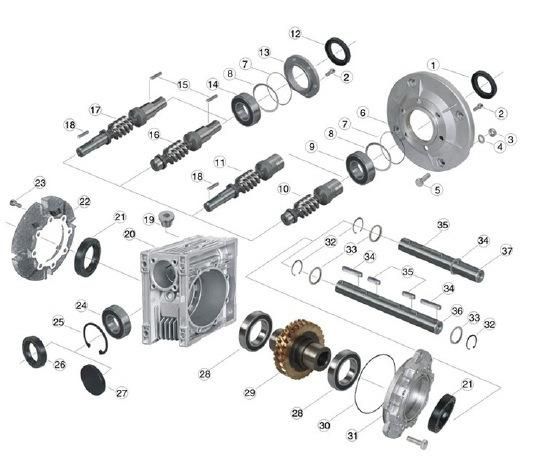 Eed Transmission Worm Gearbox Units E-RV063 Ratio40