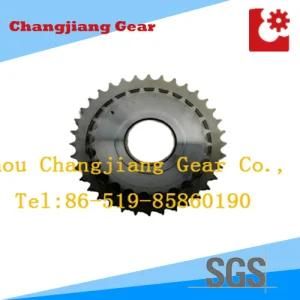 Transmission Stainless Sprocket for Double Chain Special Sprocket