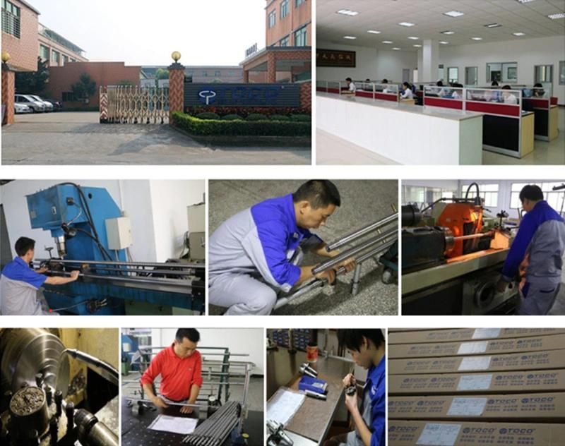 Motorized Linear System Linear Guide