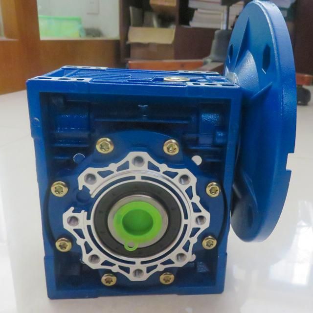 Worm Gear Box/Gearbox Reducer with Electric Motor