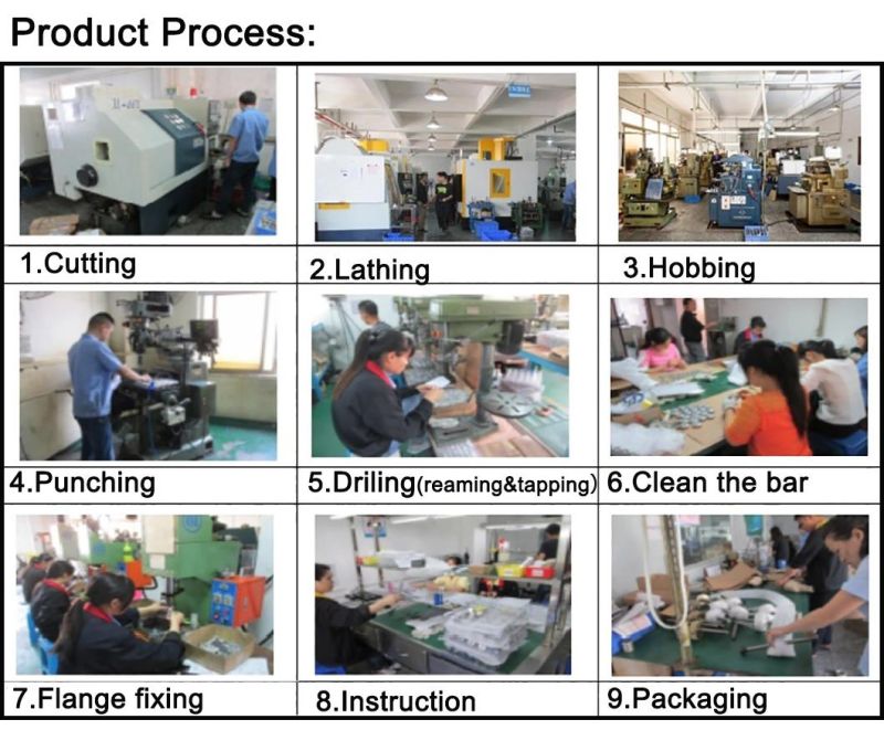 Customized Worm Gears and Worm Gear Shaft Spur Gear with Factory Price