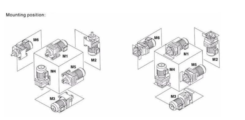 Helical Bevel Horizontal Type Gear Speed Reducer with Hollow Shaft