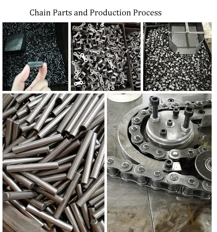 Short Pitch Roller Chain Stainless Steel and Carbon Steel