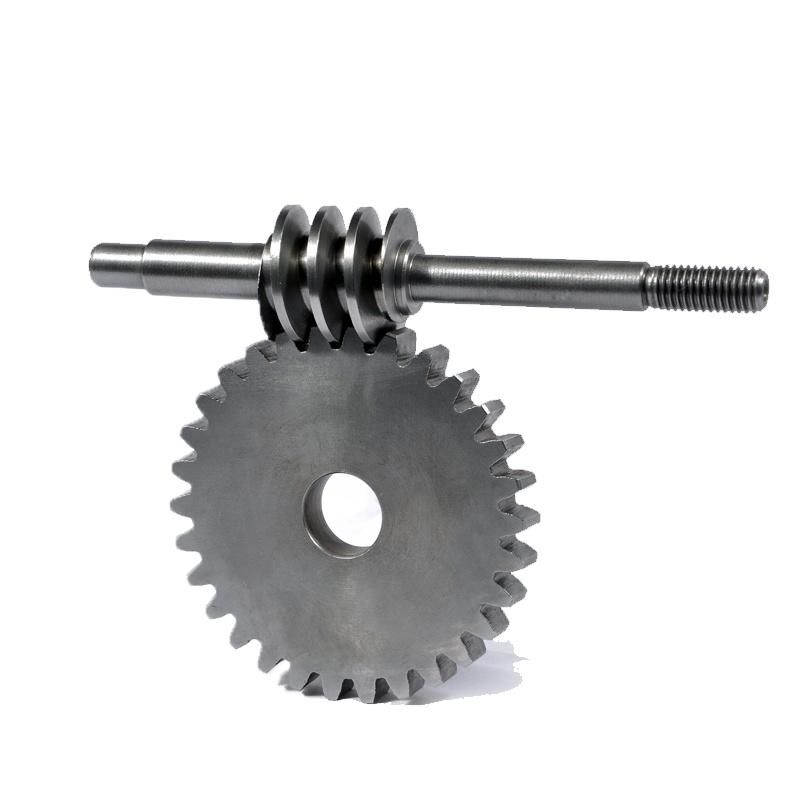 Precision Anti-Backlash Stainless Steel Worm Gear and Bronze Worms