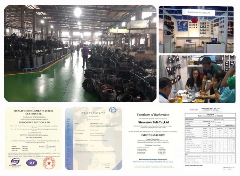 Conveyor Belts Power Twist Plus Link V Belt