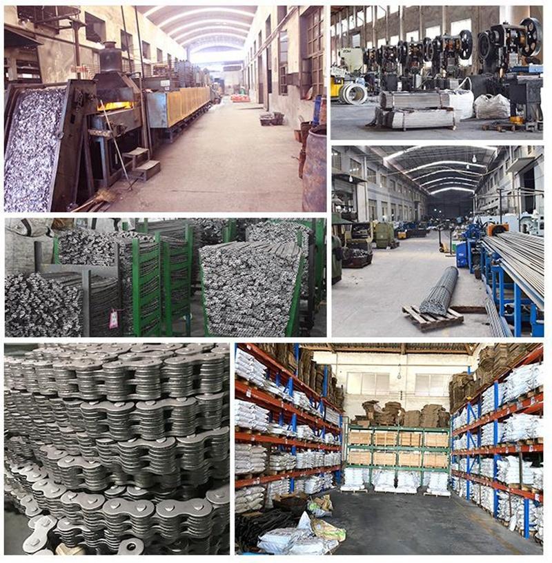 Professional Factory BS25 - C208A BS30 - C208A C2040 25.4mm Pitch Double Plus Conveyor Chain for Assembly Line