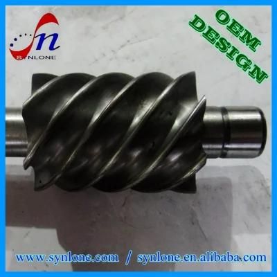 OEM Foundry Customized Auto Parts Stainless Steel Worm for Machinery