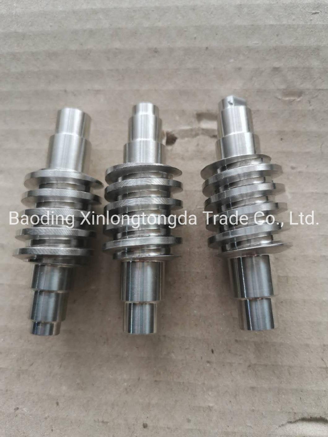 OEM Non-Standard Stainless Steel Worm