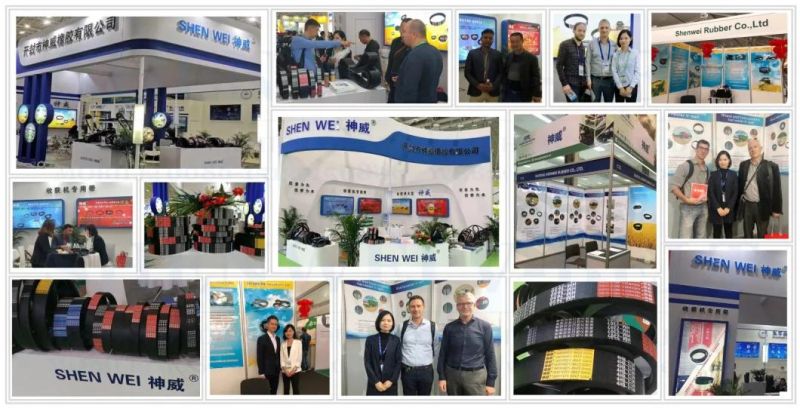 V Belt Factory of Agricuture Machinery World Machinery