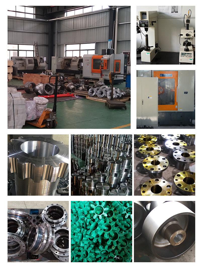 Stainless Steel Coupling Universal Joint Gear Roller Chain Fluid Pump Rubber Jaw Spider HRC Nm Flange Gear Spline Shaft Flexible Coupling