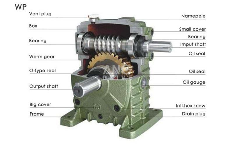 Wp Right Angle 90 Degree Cast Iron Reduction Speed Gearbox Worm Reducer Wpa Wpo Wps Wpx Worm Motor Unit Gear Box