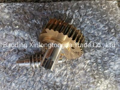 OEM Metal Parts Manufacturer Machinery Gear Worm and Shaft