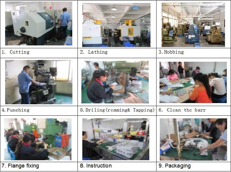 Passivation and Picking Surface Treatment Aluminum Alloy Precision Spur Gear for Printing Machinery