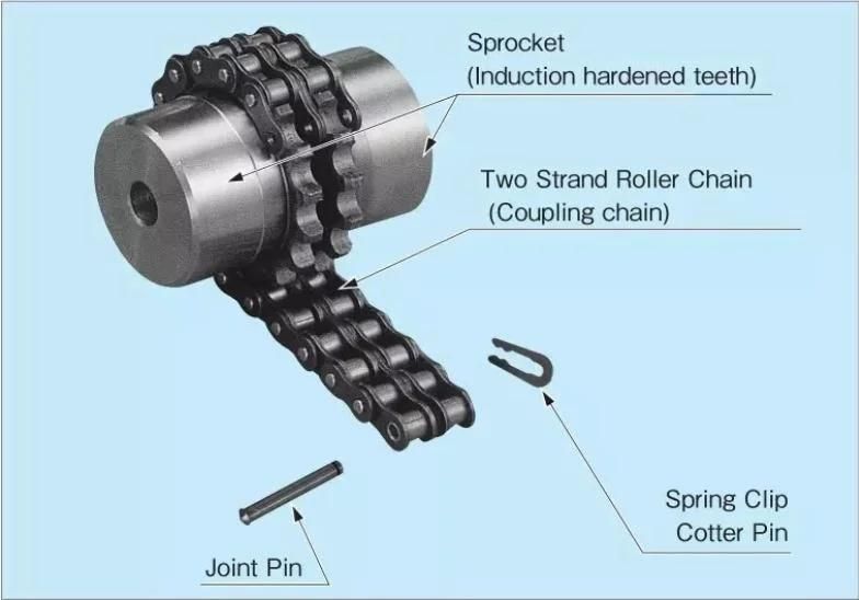 Rexnord Chain Kc Coupling Ds 5018/8022