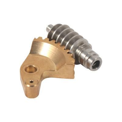 Customized High Precision Nitridation Surface Treatment Brass Bronze Stainless Steel Helical Gears Worm Wheel Worm Gear for Robot Industry