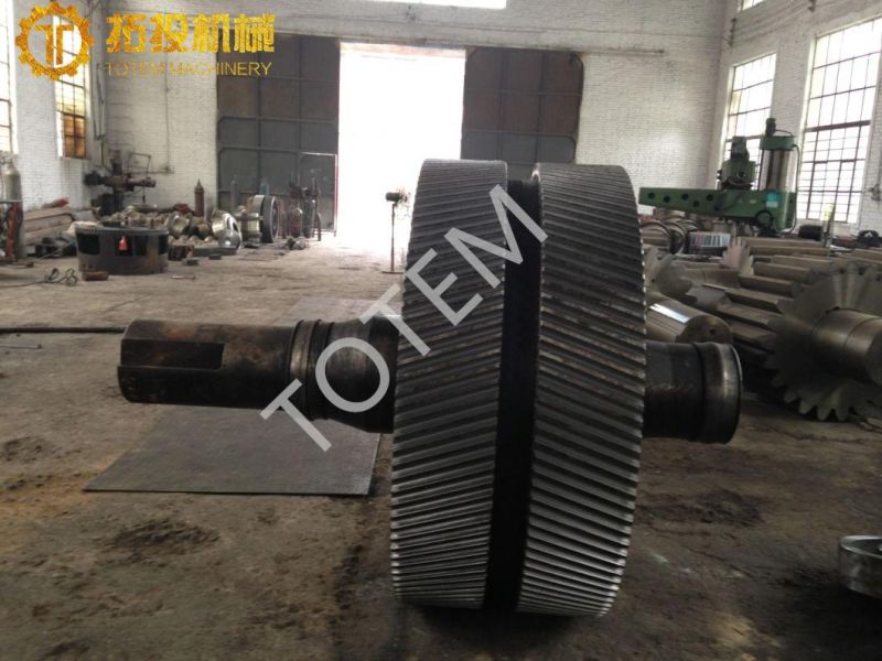 Totem Helical Herringbine Gear with Big Teeth & Module