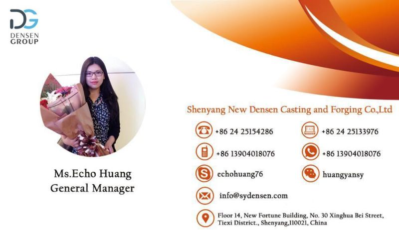 Densen Customized Bush Type Flexible Drive Shaft Coupling