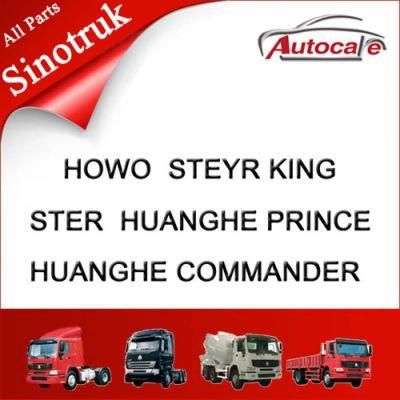 All Sinotruk Sapre Parts Sinotruk Parts Sinotruk HOWO Parts Wg9918581101 Combination Instrument