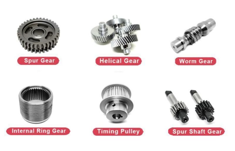 OEM Spur Gear CNC Machined European Standard Pinion for Gearbox