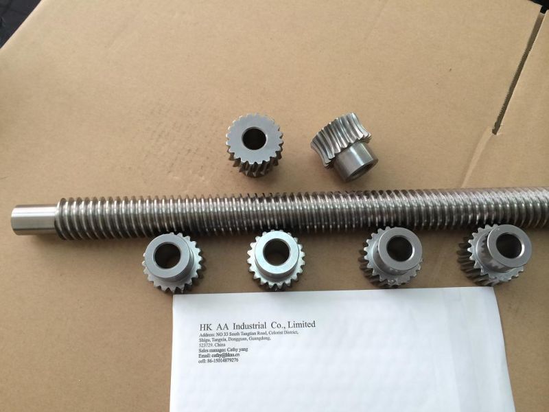 ISO9001 OEM Manufacturer Custom Made Alloy Steel 4140 1024 1018 Worm Gear Shaft